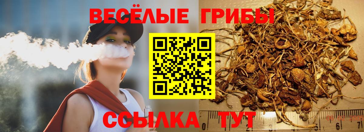 Корсаков  Псилоцибиновые грибы прущие грибы  Вход с VPN 