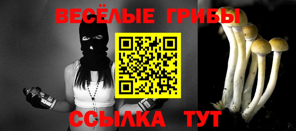Галлюциногенные грибы прущие грибы Корсаков